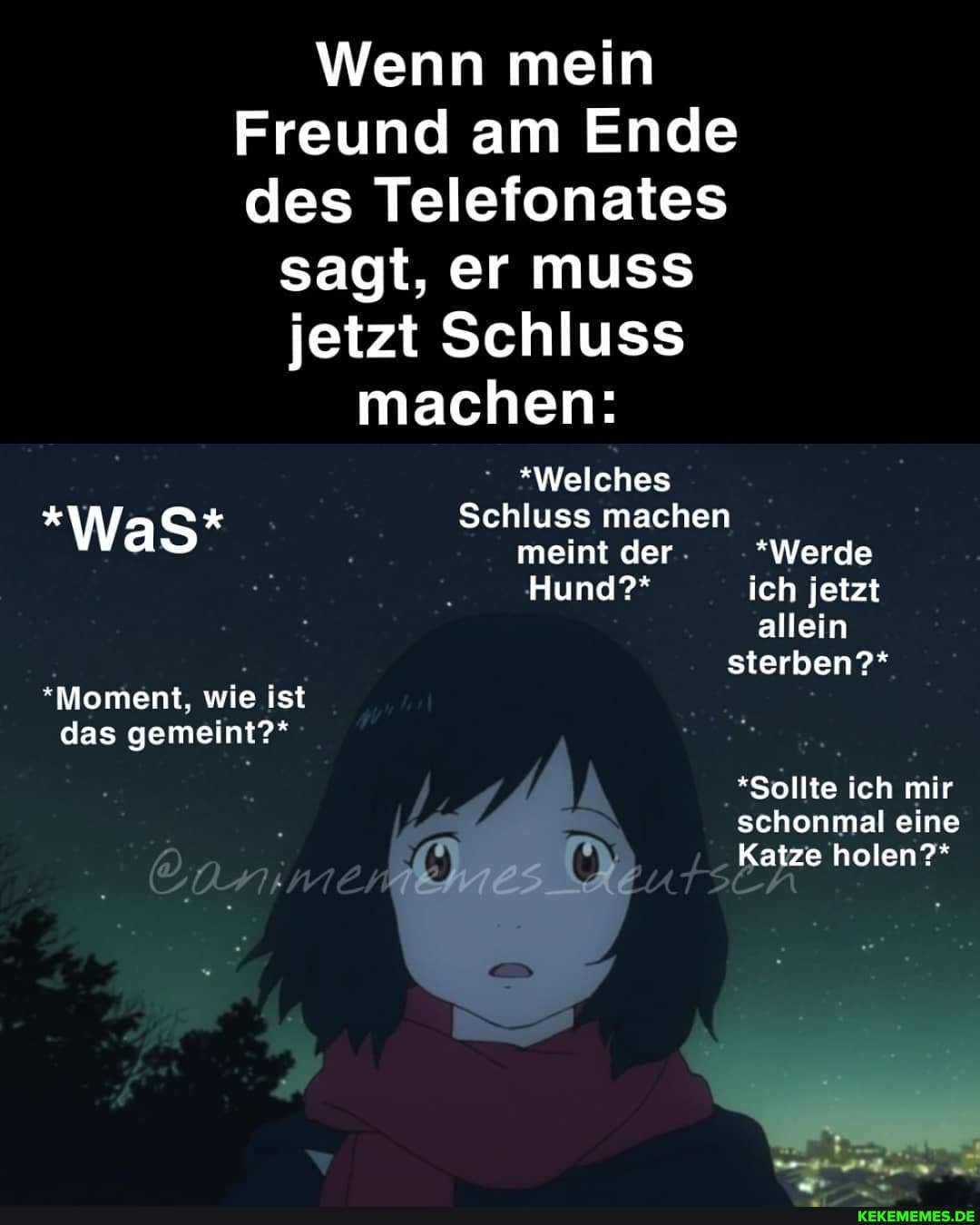 Wenn mein
Freund am Ende des Telefonates
sagt, er muss jetzt Schluss
machen:
*Welches
* Schluss machen
Was meint der *Werde
Hund?* ich jetzt allein sterben"?*
"Moment. wie ist das gemeint?*
Sollte ich mir schonmal eine
Katze holen?*