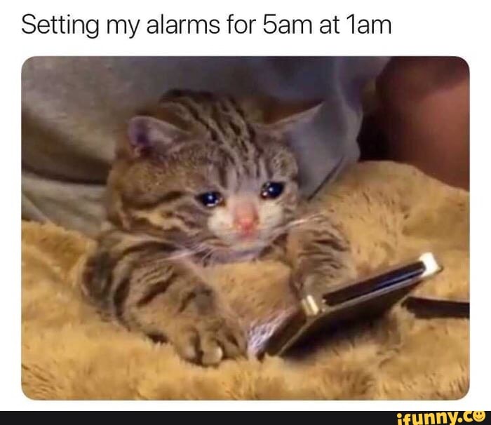 Setting my alarms for 5am at 1am iFunny