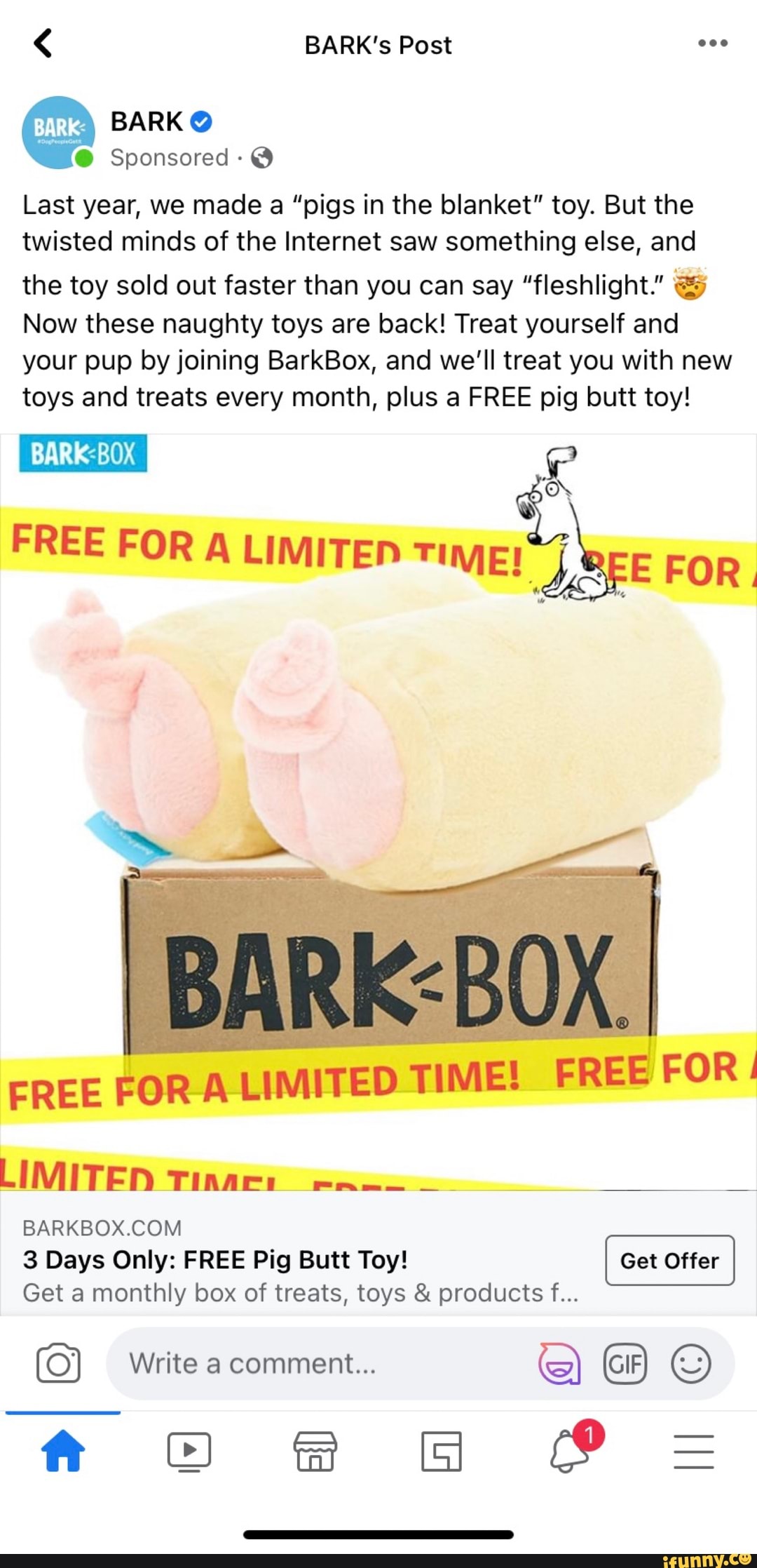 Barkbox pig in a blanket toy