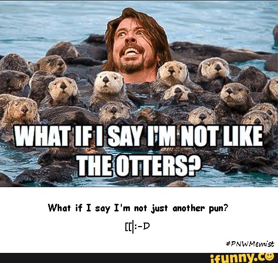 WHAT IF SAY I'M NOT LIKE THE OTTERS?
What if I say I'm not just another pun?
OP