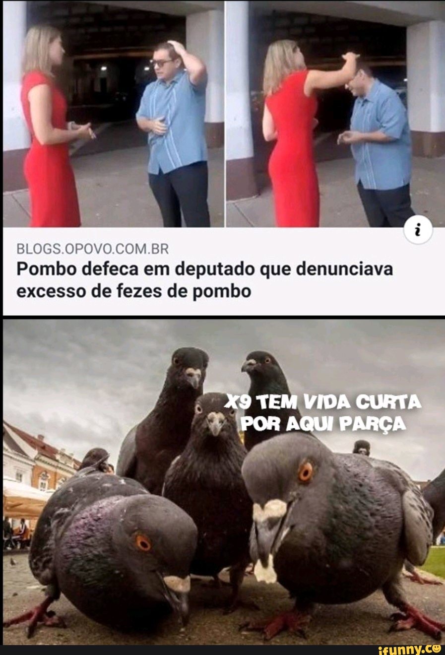 BLOGS.OPOVO.COM.BR
Pombo defeca em deputado que denunciava excesso de fezes de pombo
TEM VIDA CURTA
POR AQUI PARÇA