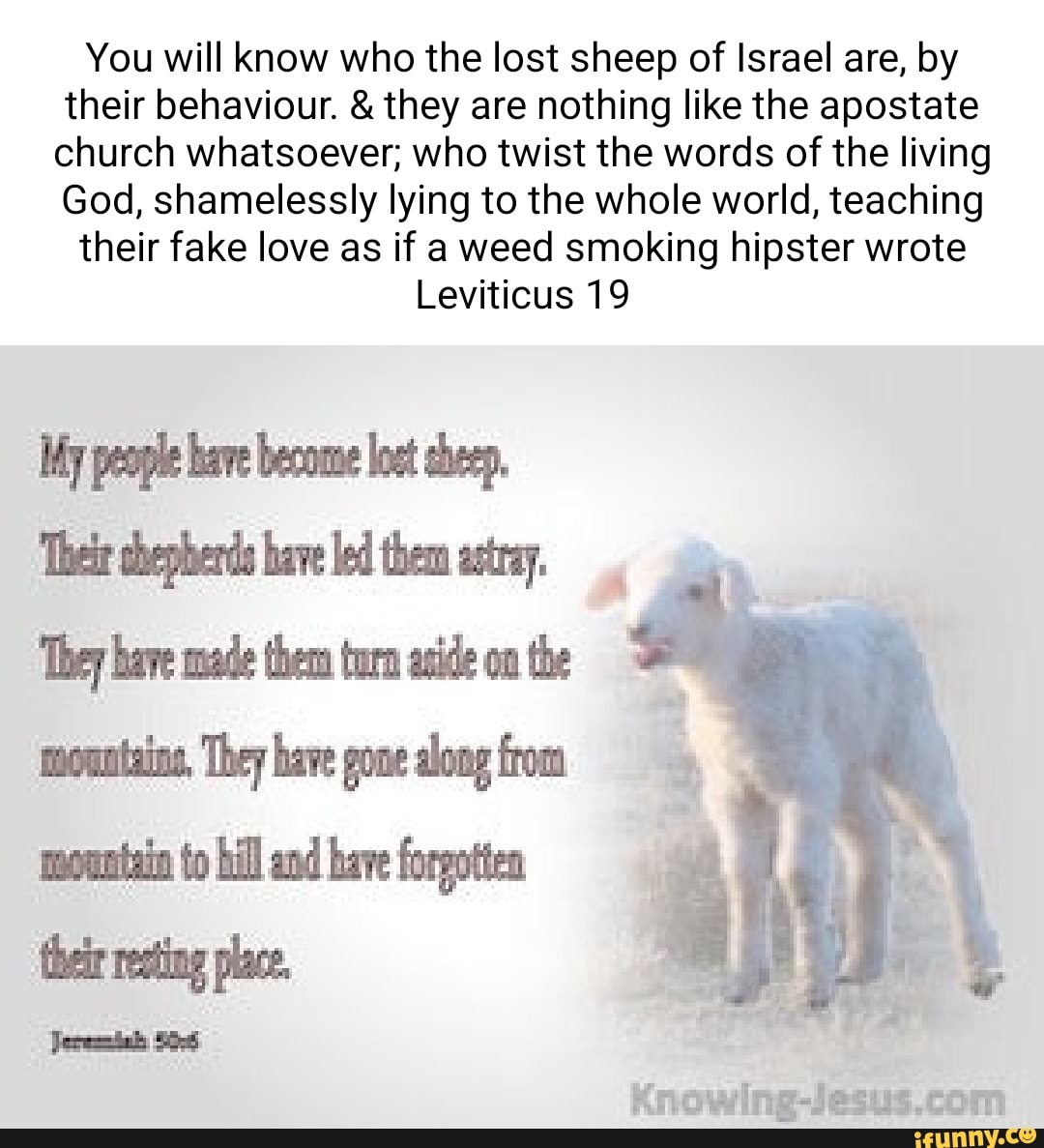 You will know who the lost sheep of Israel are, by their behaviour ...