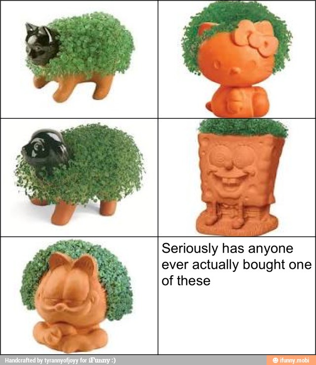 Seriously has anyone
ever actually bought one
of these