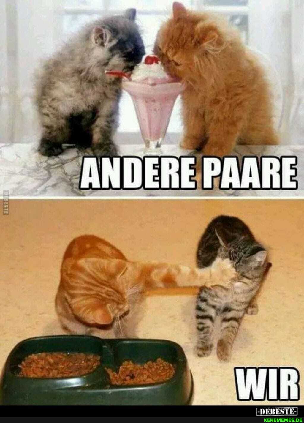 ANDERE PAARE