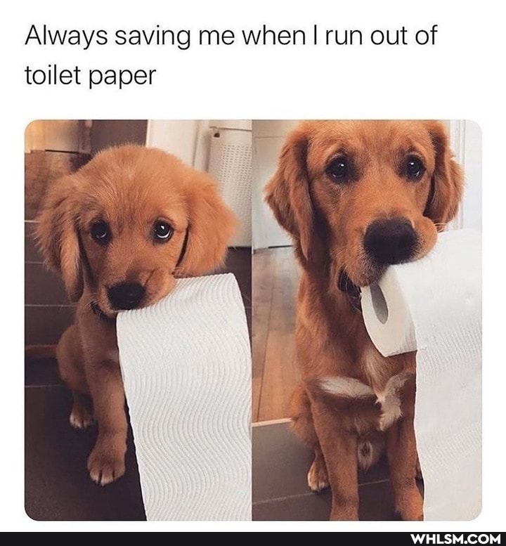 Always saving me when I run out of toilet paper