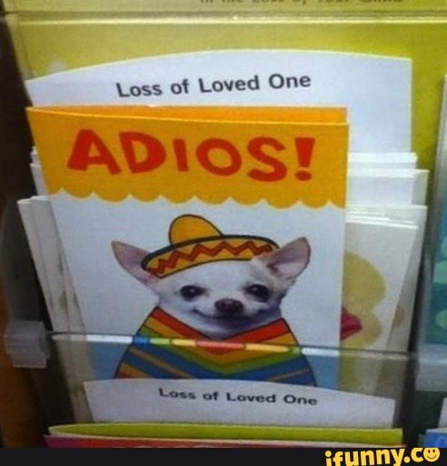 loss of loved one adios