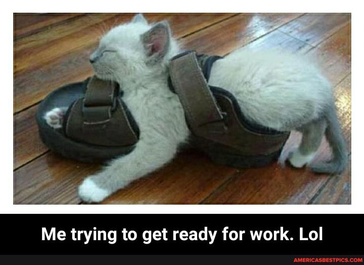 Me trying to get ready for work. Lol - Me trying to get ready for work. Lol