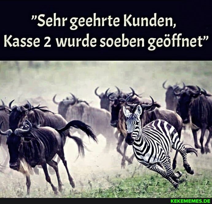 "Sehr geehrte Kunden,
Kasse 2 wurde soeben geöffnet"