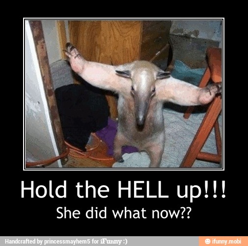 Hold the HELL
She did what now?? - Hold the HELL up!!!
She did what now??