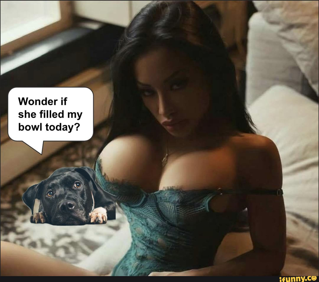 Wonder if she filled my bowl today?