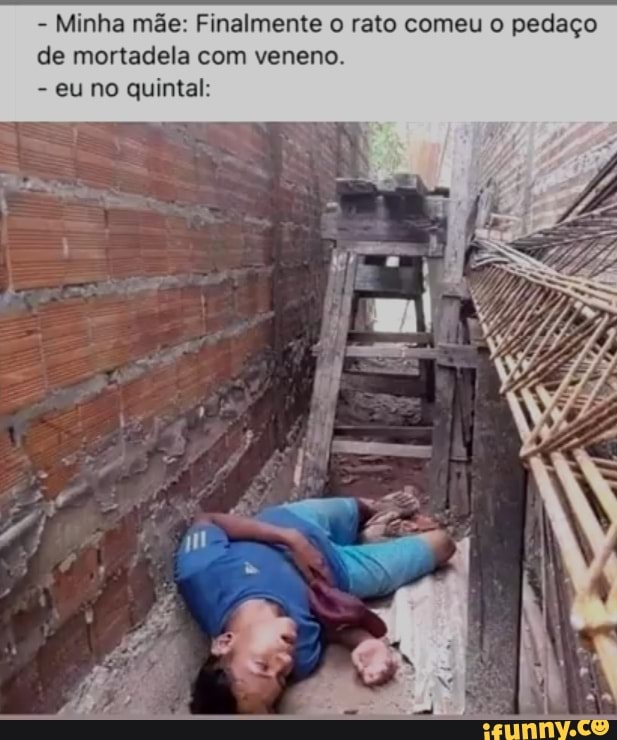 - Minha mãe: Finalmente o rato comeu o pedaço de mortadela com veneno.
- eu no quintal: