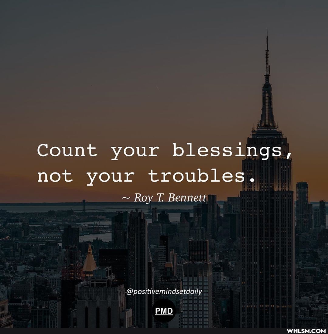 Count your blessings,
not your troubles.
~ Roy Bennett
@positivvemindsetdaily
PMD