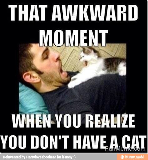 THAT AWKWARD
YOU DON'T HAVEA CAT