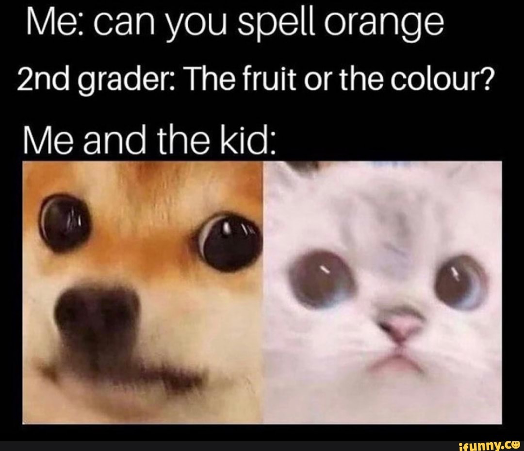 Me: can you spell orange grader: The fruit or the colour?
Me and the kid: