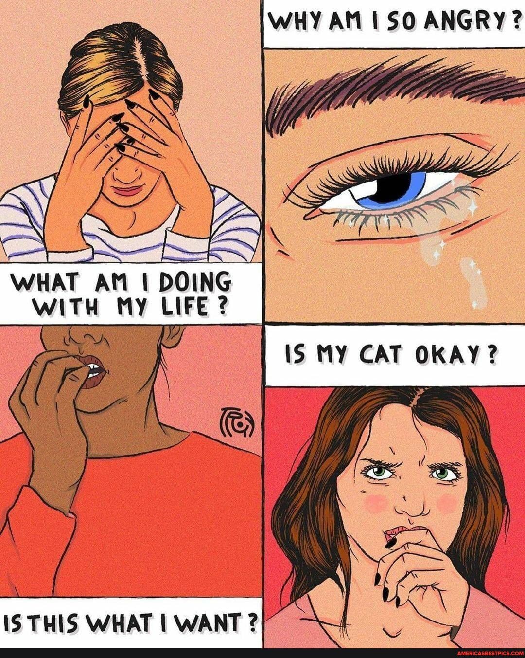 WHY ANGRY?
WHAT At DOING WITH MY LIF
MY CAT OKAY?
THIS WHAT WANT ?