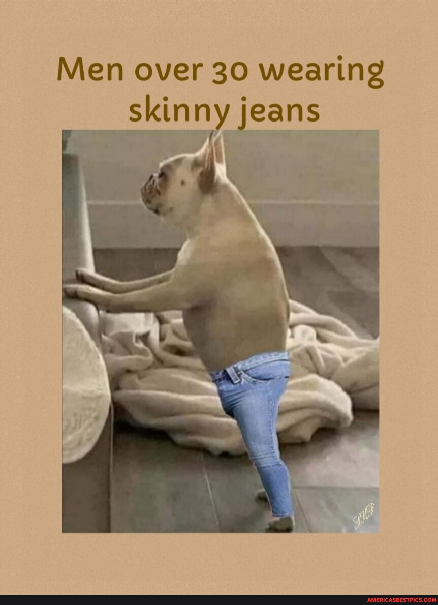 Einzelheiten 51+ skinny jeans meme dog Demhanvico