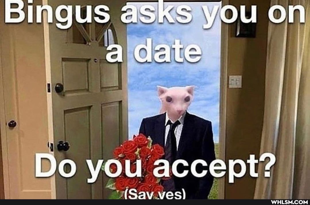 YOU
a date
Do you accept?