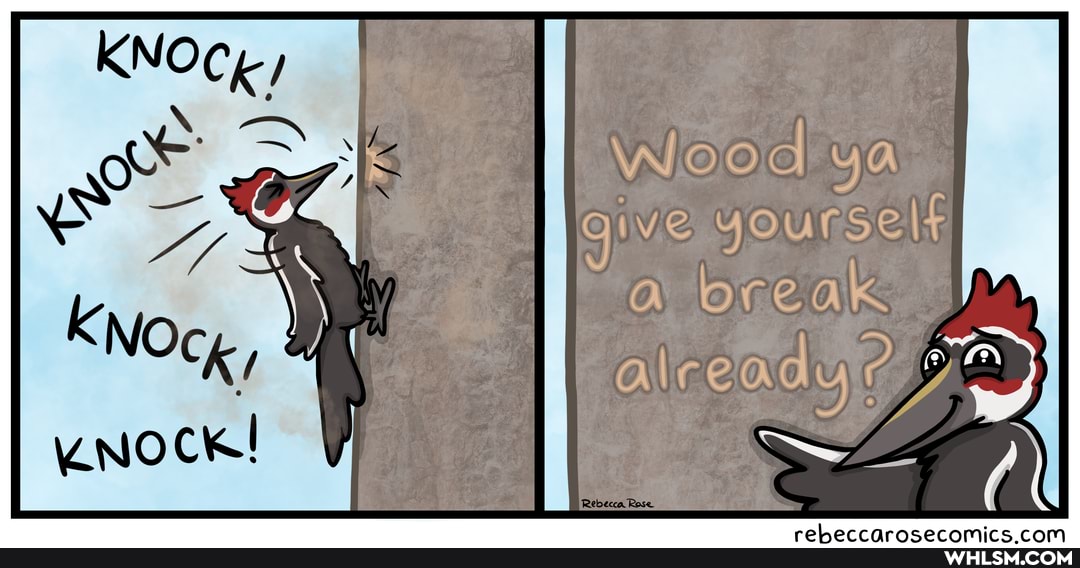 Wood YA
ive yourself
break: ac ead