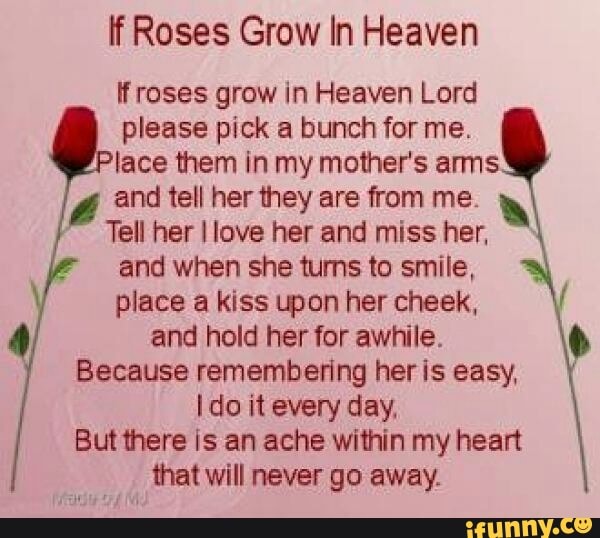 Lf Roses Grow In Heaven If roses grow in Heaven Lord please pick a ...