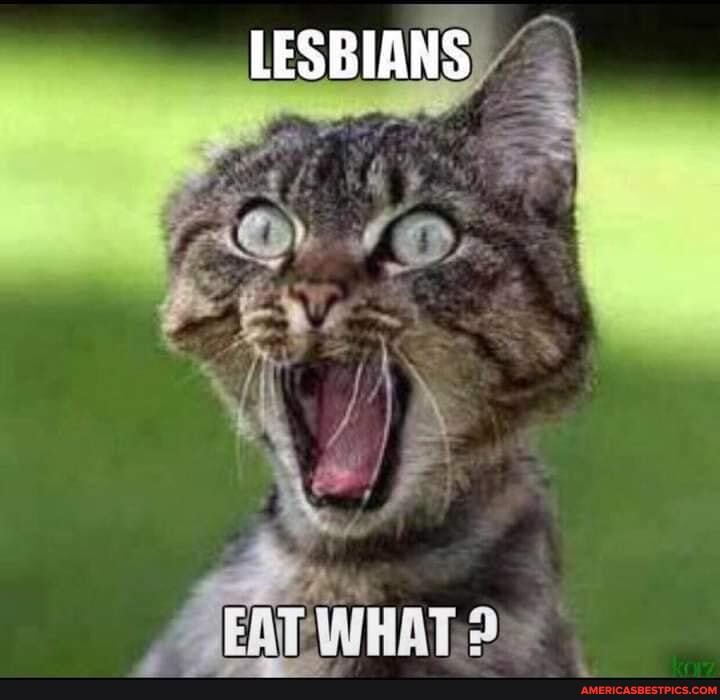 LESBIANS
PAY
in
SEAT WHAT?