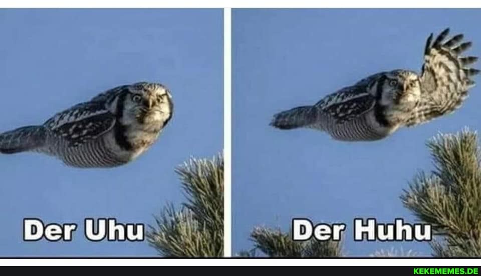 Ber Uhu Der Huhu