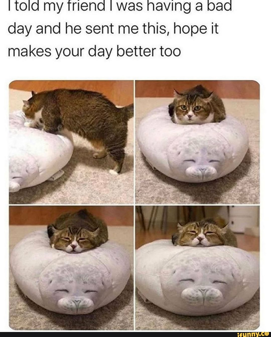 ¡told my Triena I was having a bad
day and he sent me this, hope it
makes your day better too
