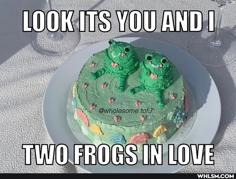 LOOK ITS YOU AND I
TWO FROGS IN LOVE