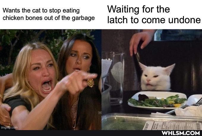Wants the cat to stop eating Waiting for the chicken bones out of the garbage latch to come undone