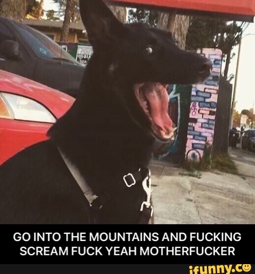GO INTO THE MOUNTAINS AND FUCKING
SCREAM FUCK YEAH MOTHERFUCKER - GO INTO THE MOUNTAINS AND FUCKING SCREAM FUCK YEAH MOTHERFUCKER