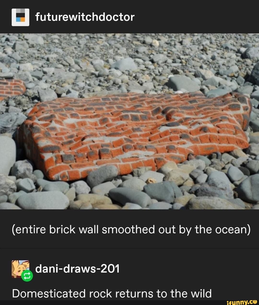 futurewitchdoctor
(entire brick wall smoothed out by the ocean)
e
Domesticated rock returns to the wild