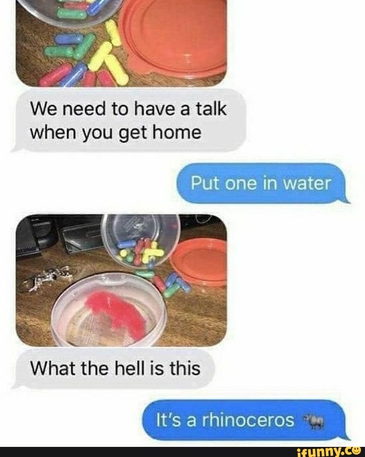 We need to have a talk when you get home
Put one in water
What the hell is this
It's rhinoceros