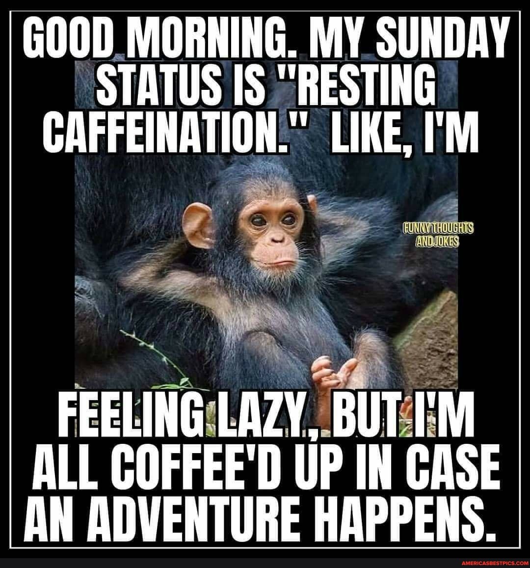 GOOD MORNING. MY SUNDAY STATUS IS "RESTING CAFFEINATION." LIKE, I'M
FEELING LAZY. BUT I'M ALL COFFEE'D UP IN CASE AN ADVENTURE HAPPENS.