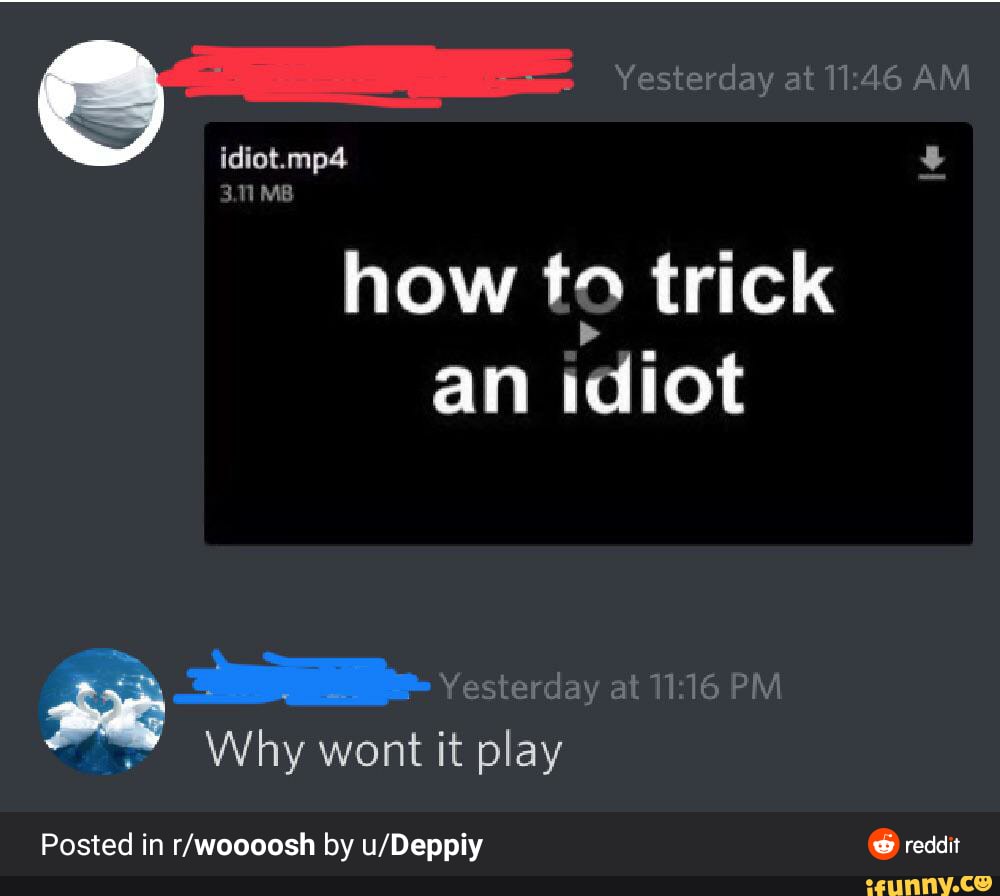 idiot.mp4
MB
how to trick an idiot
Posted in by reddit
Why wont it play