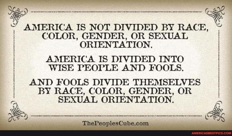 AMERICA IS NOT DIVIDED BY RACE,
COLOR, GENDER, OR SEXUAL ORIENTATION.
AMERICA IS DIVIDED INTO
WISE PEOPLE AND FOOLS.
AND FOOLS DIVIDE THEMSELVES BY RACE, COLOR, GENDER, OR SEXUAL ORIENTATION.