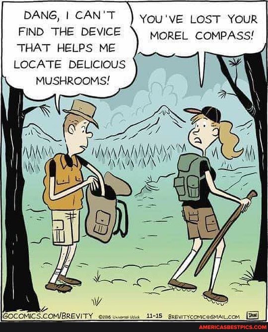 DANG, I CAN you'vE LOST YOUR I
FIND THE DEVICE MOREL COMPASS!
THAT HELPS ME
LOCATE DELICIOUS MUSHROOMS!
ISS
SS
