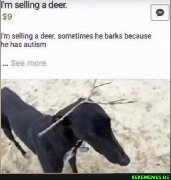 I'm selling a deer. $9 'm selling a deer. sometimes he barks because he has auti