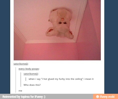 sntorkomei
when i say "hot glued my furby into the ceiling" i mean it