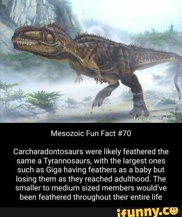 Giganotosaurus memes. Best Collection of funny Giganotosaurus pictures ...