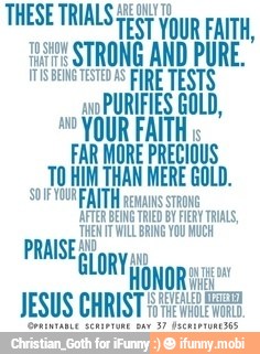"YOUR FAL
FAR MORE
PRECIOUS
DO HIM THAN MERE GOLD.
a "Y WILL ERIN YOU MUCH
PRAISE;