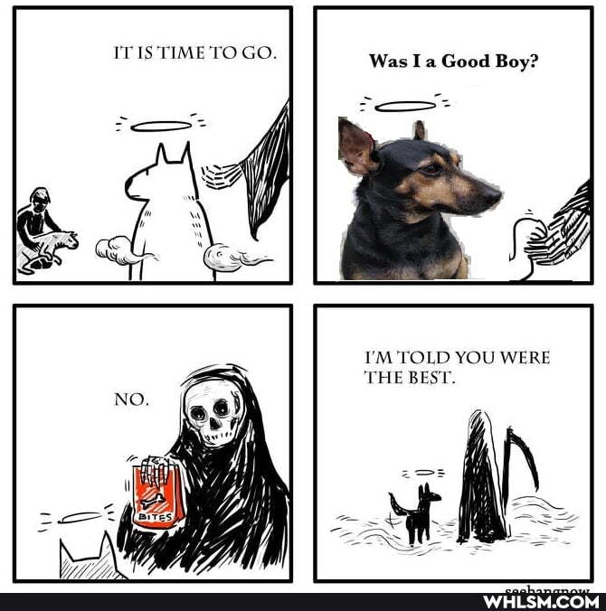 ITIS TIME TO GO.
Was I a Good Boy?
I'M 'TOLD YOU WERE THE BEST.