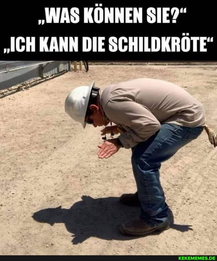 "WAS KÖNNEN SIE?"
"ICH KANN DIE SCHILDKRÖTE"