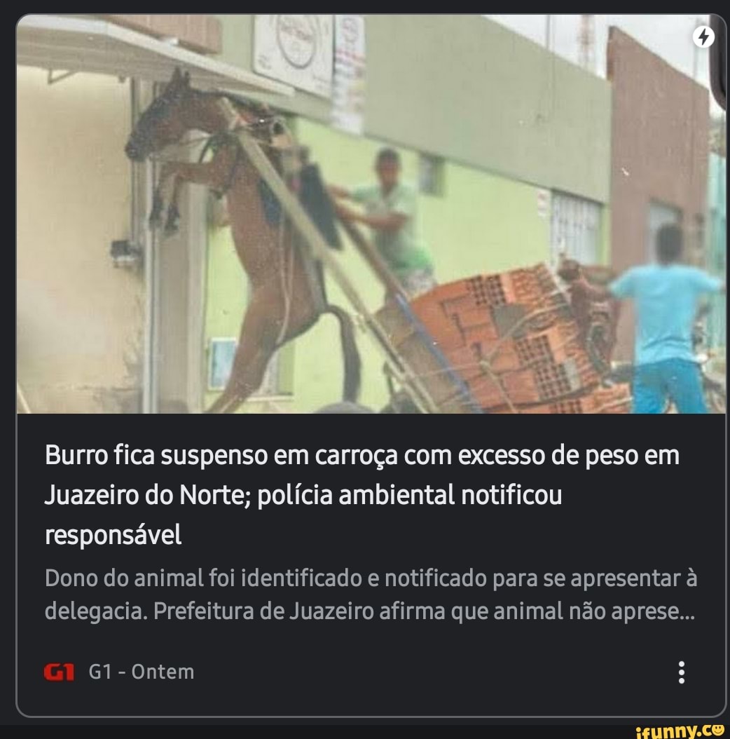 Burro fica suspenso em carroça com excesso de peso em
Juazeiro do Norte; polícia ambiental notificou responsável
Dono do animal foi identificado e notificado para se apresentar à delegacia. Prefeitura de Juazeiro afirma que animal não aprese...
- Ontem