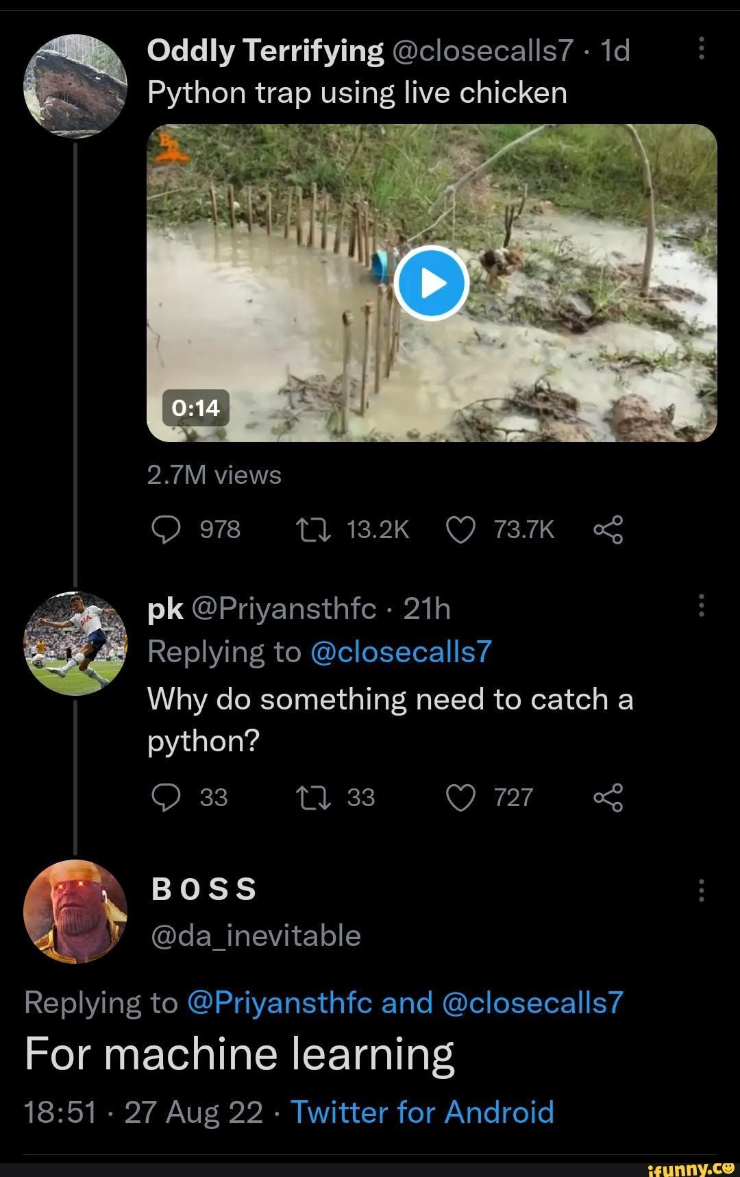 Oddly Terrifying @closecalls7 - id Python trap using live chicken 2.7M ...