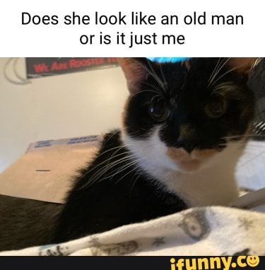 Does she look like an old man or is it just me - iFunny