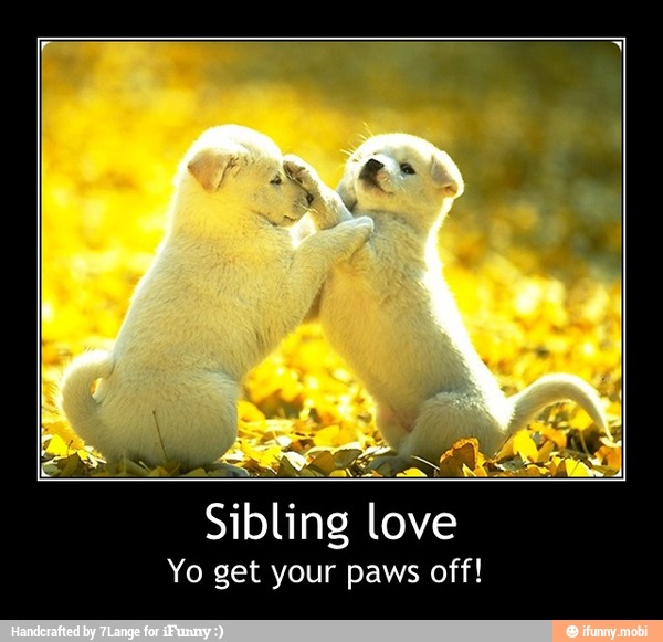 A as
sibling l
lave
Yo get your paws off! - Sibling love
Yo get your paws off!