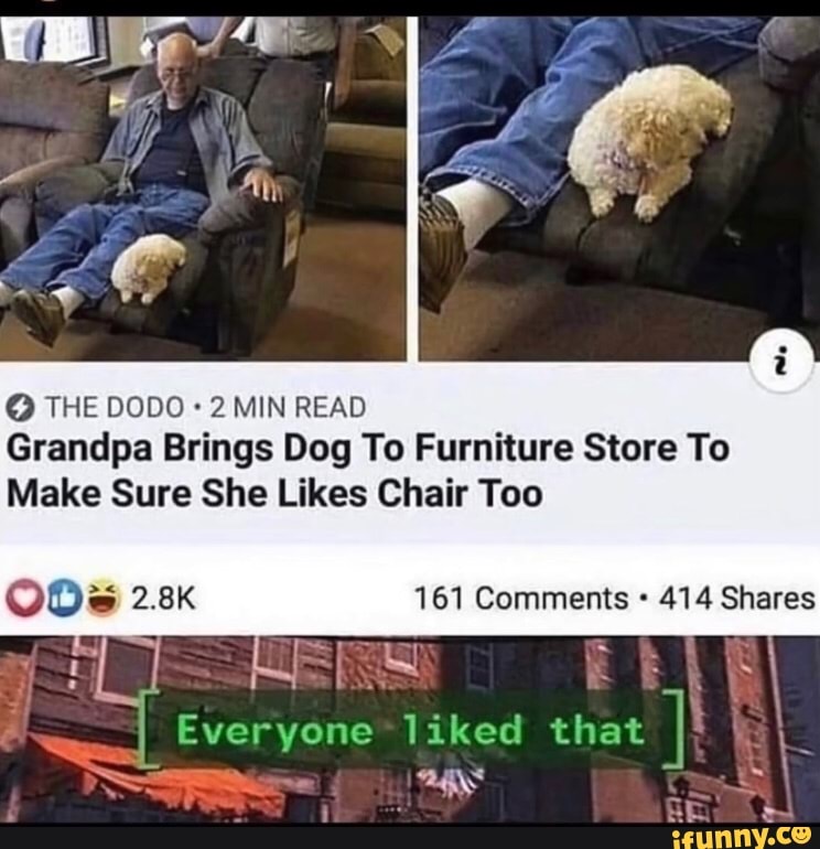 THE DODO 2 MIN READ Grandpa Brings Dog To Furniture Store To
Make Sure She Likes Chair Too
ODs 2.8K 161 Comments 414 Shares
Everyone liked that