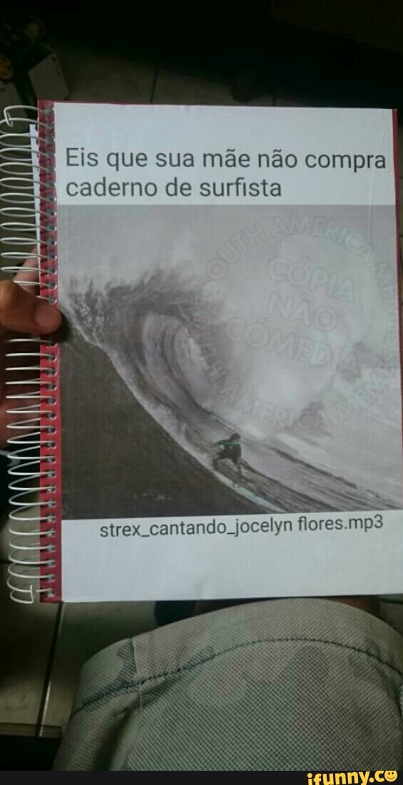 Eis que sua mãe não compra
caderno de surfista
strex cantando. jocelyn flores.mp3