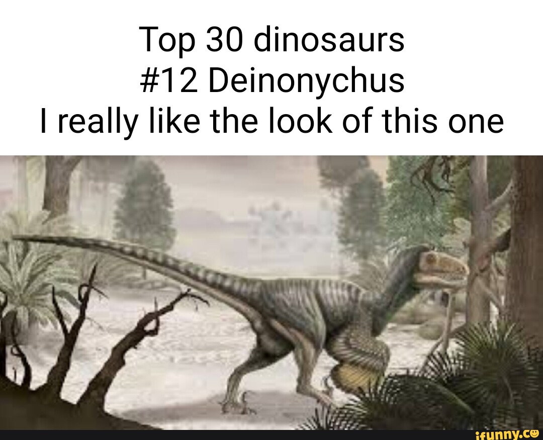 Top 30 dinosaurs #12 Deinonychus I really like the look of this one ...