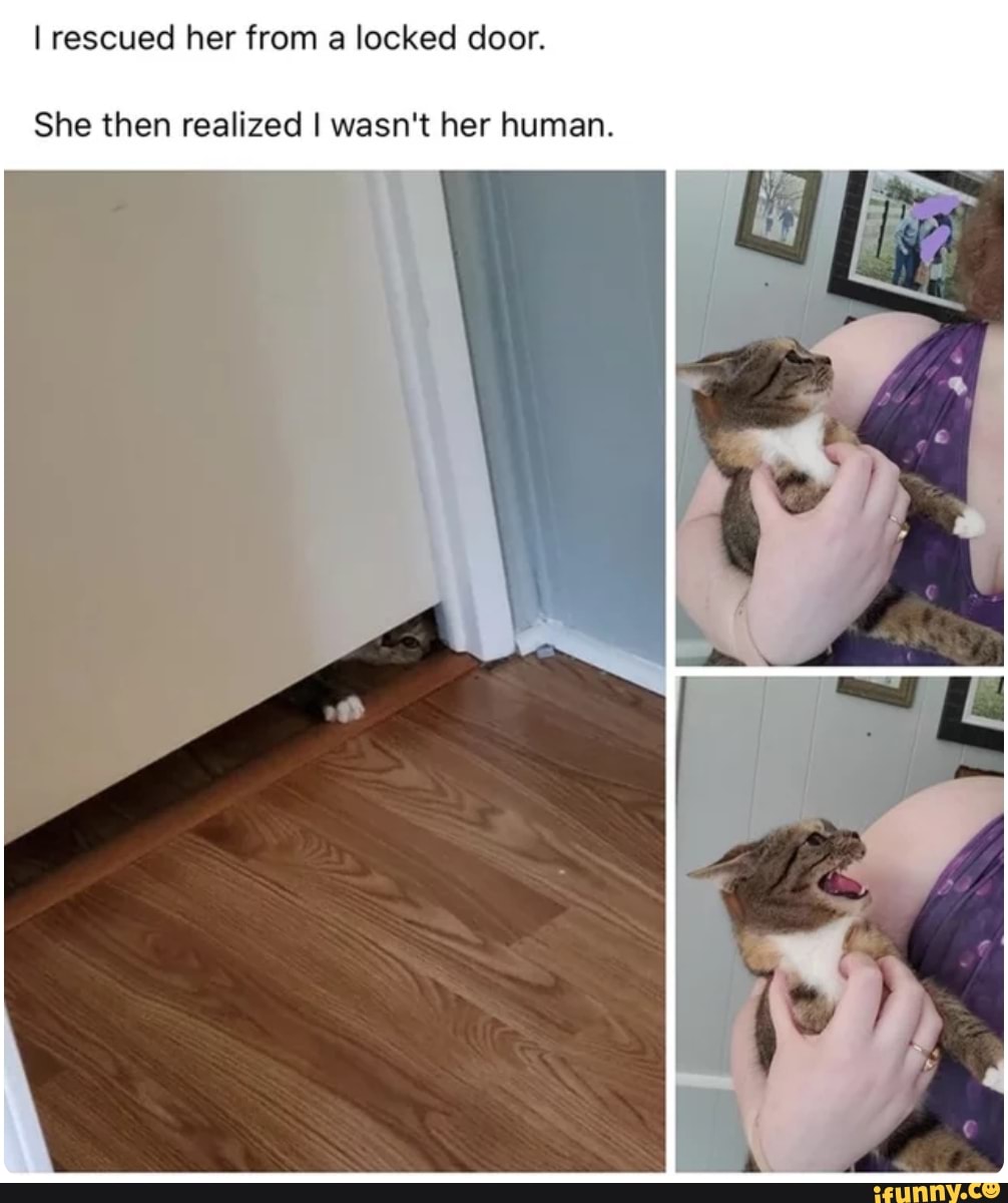 I rescued her from a locked door.
She then realized I wasn't her human.