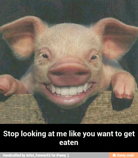 Stop looking at me like you want to get
eaten - Stop looking at me like you want to get eaten